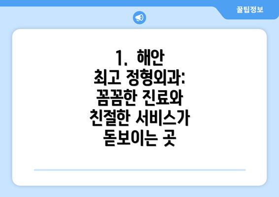 1.  해안 최고 정형외과: 꼼꼼한 진료와 친절한 서비스가 돋보이는 곳