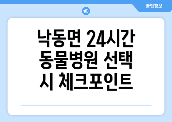 낙동면 24시간 동물병원 선택 시 체크포인트