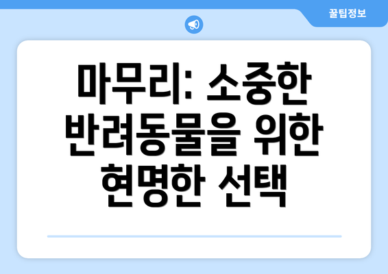 마무리: 소중한 반려동물을 위한 현명한 선택